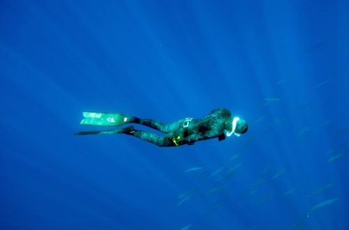 Freediving auf den Azoren